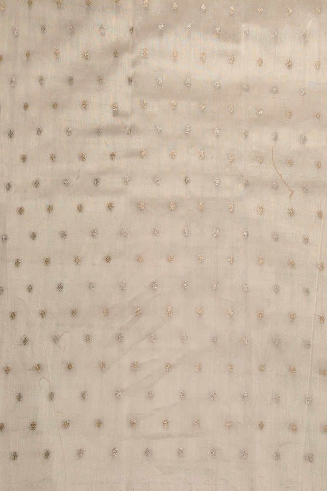 Off-White Organza Saree With Appliqué Work, With Two Unstitched Blouse
