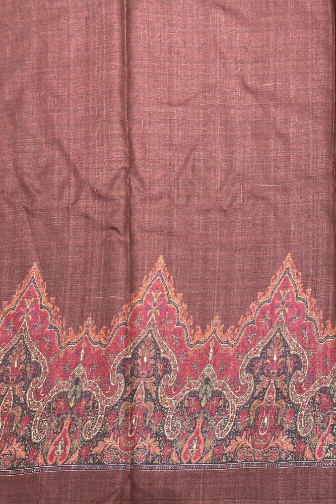 Chocolate Brown Tussar Silk Printed Saree With Aari Work Border, With Unstiched Blouse
