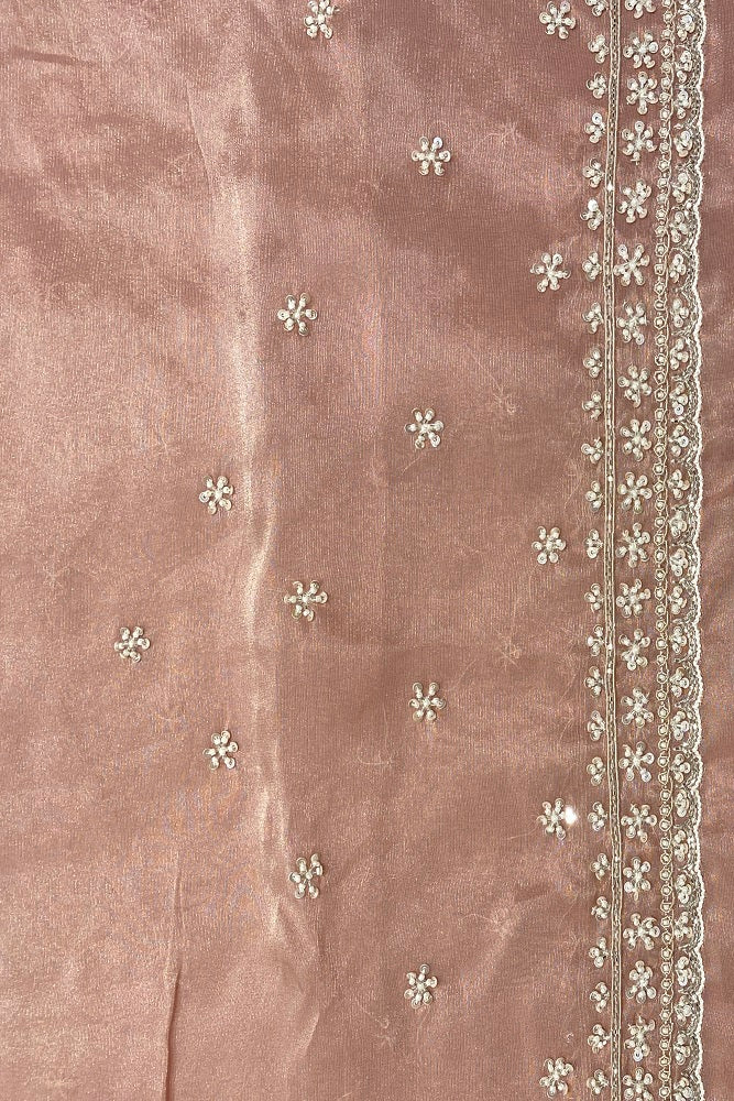 Light Pink Tissue Organza Silk Hand Embroidery Party Wear Saree, With Blouse Piece